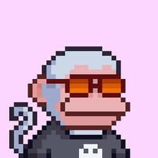 Profile picture for Sissi YUAN