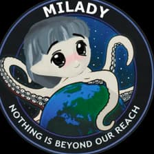 Profile picture for Sarv