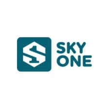Profile picture for SKYONE 包网