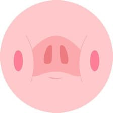 Profile picture for Solow 🐽