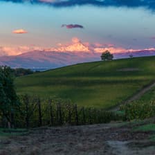 Profile picture for G.D. Vajra - Barolo