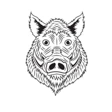 Profile picture for Boar Venturers