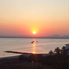 Profile picture for Esperanza Suarez