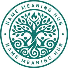 Profile picture for Name Meaning Hub