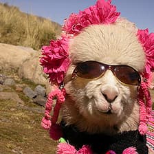 Profile picture for Juan José JJ Miranda