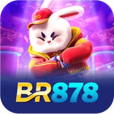 Profile picture for BR878
