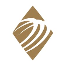 Profile picture for Transworld Business Advisors of Canton