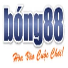 Profile picture for BONG88