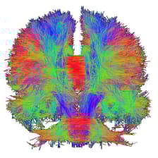 Profile picture for Dar Meshi