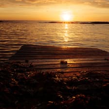 Profile picture for DANIELA PAVLOVA