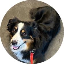 Profile picture for Maddy