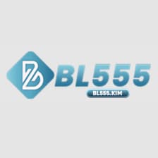 Profile picture for bl555