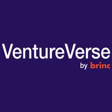 Profile picture for VentureVerse (Formerly OG Club)