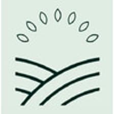 Profile picture for Mitti Labs