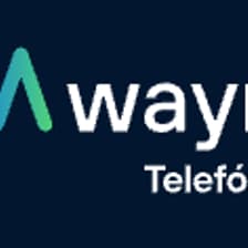 Profile picture for Telefonica Wayra Ventures