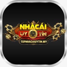 Profile picture for topnhacaiuytin my