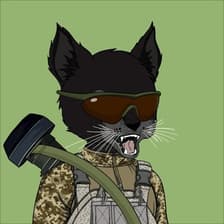 Profile picture for Ash