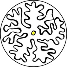 Profile picture for Biotexturas