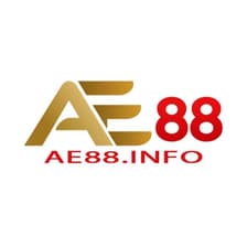 Profile picture for AE88