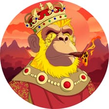 Profile picture for Io_vin