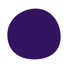 Profile picture for Speckle Foundation