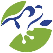 Profile picture for CleanLeap