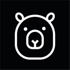 Profile picture for Bruno Felizardo Antunes