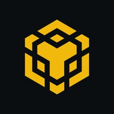 Profile picture for BNB Chain