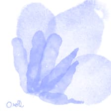 Profile picture for Dina, Isabella, Sara