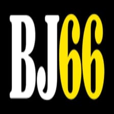 Profile picture for Bj66 blog