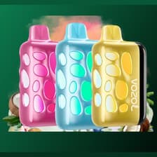 Profile picture for Vozol Rave 40000