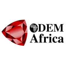 Profile picture for Odem Africa