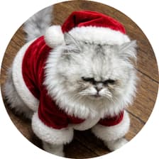 Profile picture for 김두리