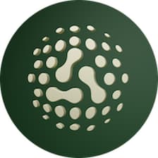 Profile picture for Aki Network
