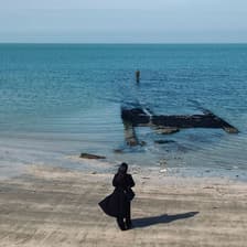 Profile picture for Isla Zhao