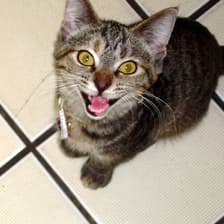 Profile picture for Beth Marshburn