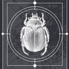 Profile picture for DJ and Host Echoic