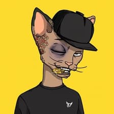 Profile picture for Crypto Onab