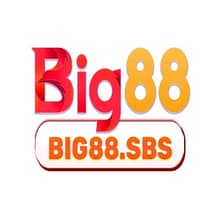 Profile picture for BIG88