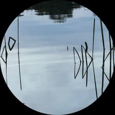 Profile picture for Jeffrey Mendelsohn