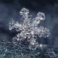 Profile picture for Johnny P