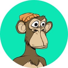 Profile picture for PO