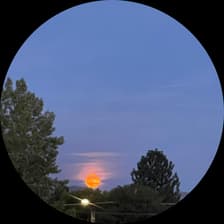 Profile picture for S M