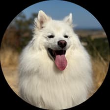 Profile picture for Jonathan Pofsky, LMFT