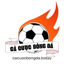 Profile picture for Cá cược bóng đá