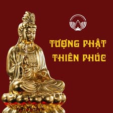 Profile picture for Tượng Phật Thiên Phúc
