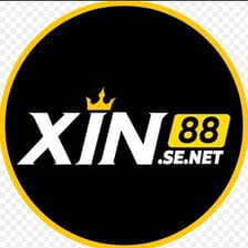 Profile picture for xin88 kkgn