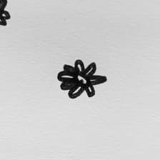 Profile picture for gaya k