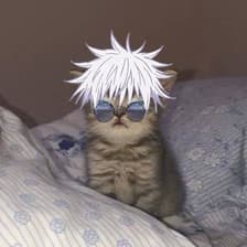 Profile picture for chris