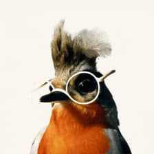 Profile picture for Ben Myers